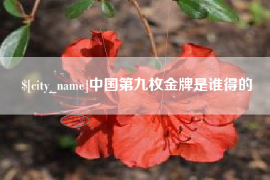 海门中国第九枚金牌是谁得的