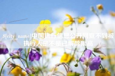 海门中国执行信息公开网查不到被执行人是不是已解除限高