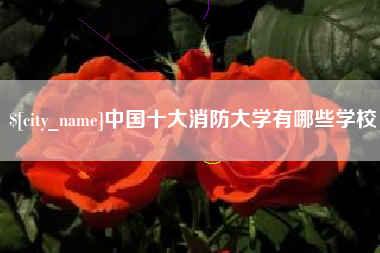海门中国十大消防大学有哪些学校