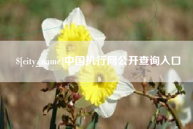 海门中国执行网公开查询入口