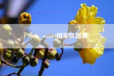 海门国家队图案