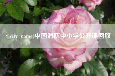 海门中国消防中小学公开课回放
