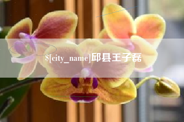 海门邱县王子磊