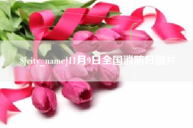 海门11月9日全国消防日图片