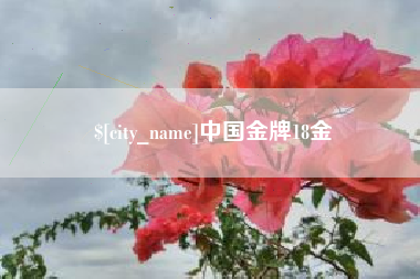 海门中国金牌18金