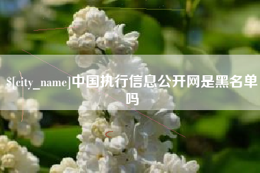 海门中国执行信息公开网是黑名单吗