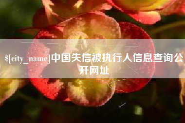 海门中国失信被执行人信息查询公开网址
