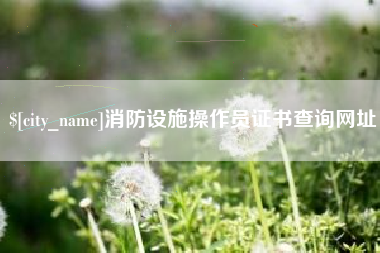海门消防设施操作员证书查询网址