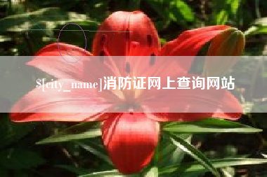 海门消防证网上查询网站