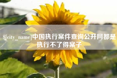 海门中国执行案件查询公开网都是执行不了得案子