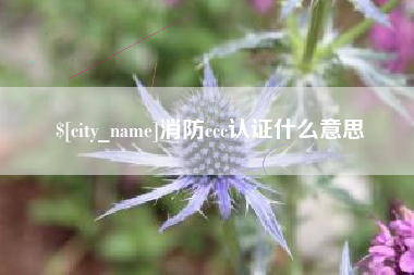 海门消防ccc认证什么意思