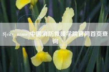 海门中国消防救援学院官网首页查询