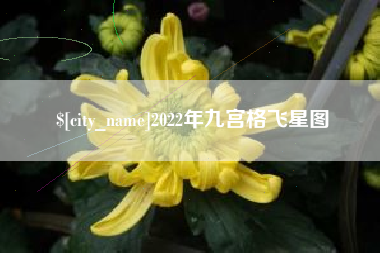 海门2022年九宫格飞星图
