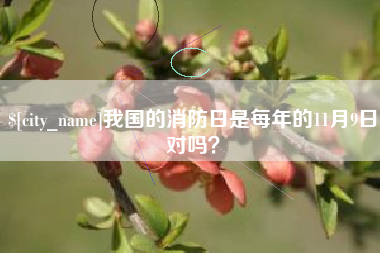 海门我国的消防日是每年的11月9日对吗？