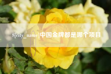 海门中国金牌都是哪个项目