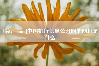 海门中国执行信息公开网的网址是什么