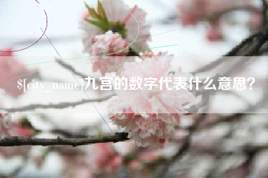 海门九宫的数字代表什么意思？