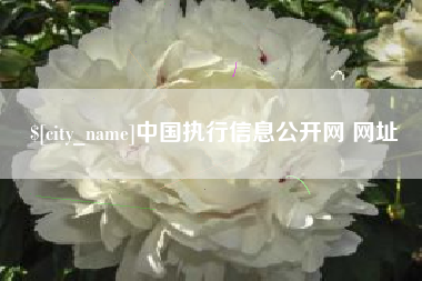 海门中国执行信息公开网 网址
