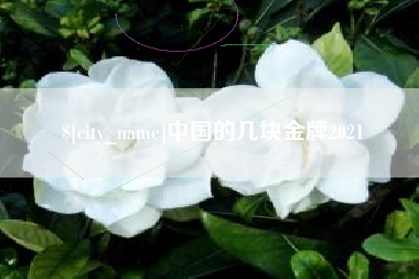 海门中国的几块金牌2021