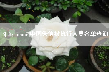 海门中国失信被执行人员名单查询