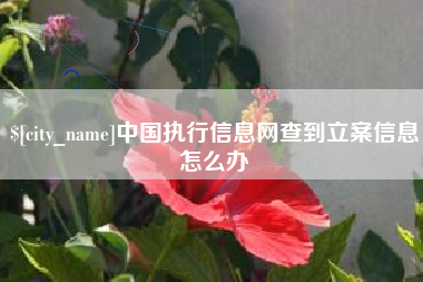 海门中国执行信息网查到立案信息怎么办