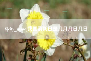 海门我国消防日是几月几日几日