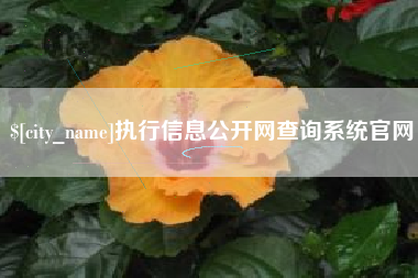 海门执行信息公开网查询系统官网