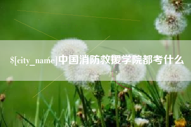 海门中国消防救援学院都考什么