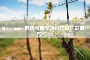 海门消防救援学院山东招生录取分数线2020