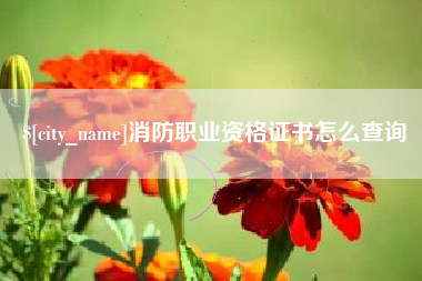 海门消防职业资格证书怎么查询