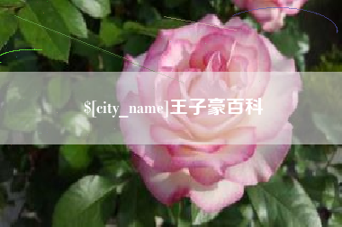 海门王子豪百科