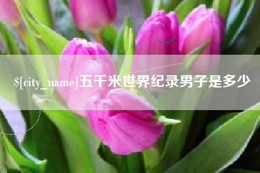海门五千米世界纪录男子是多少