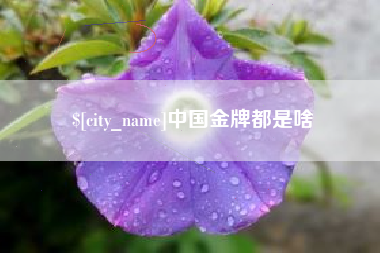 海门中国金牌都是啥