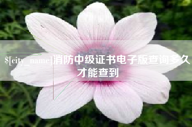 海门消防中级证书电子版查询多久才能查到