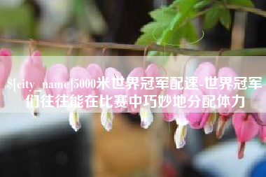 海门5000米世界冠军配速-世界冠军们往往能在比赛中巧妙地分配体力