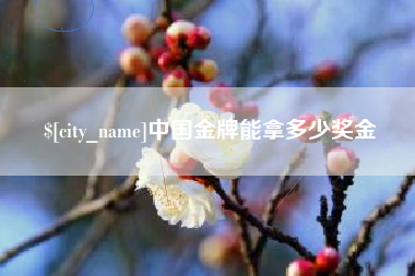 海门中国金牌能拿多少奖金