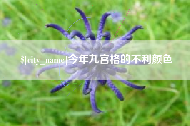 海门今年九宫格的不利颜色