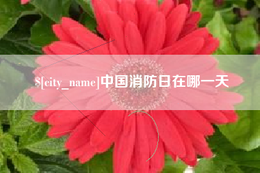 海门中国消防日在哪一天