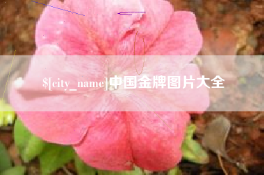 海门中国金牌图片大全
