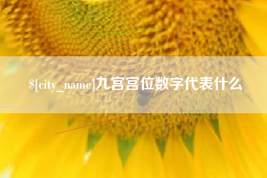 海门九宫宫位数字代表什么