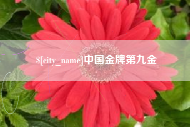 海门中国金牌第九金