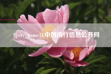 海门1.中国执行信息公开网