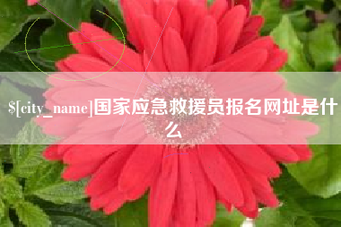 海门国家应急救援员报名网址是什么