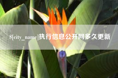 海门执行信息公开网多久更新