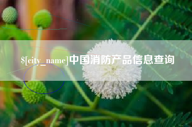 海门中国消防产品信息查询
