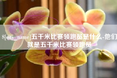 海门五千米比赛领跑员是什么-他们就是五千米比赛领跑员