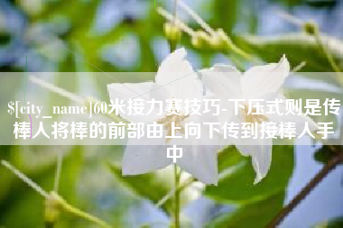 海门60米接力赛技巧-下压式则是传棒人将棒的前部由上向下传到接棒人手中
