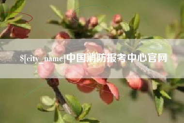 海门中国消防报考中心官网