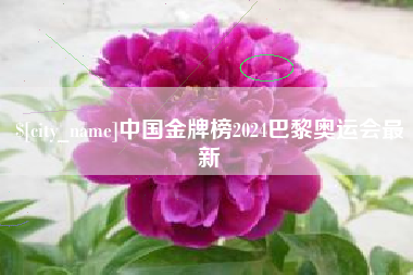 海门中国金牌榜2024巴黎奥运会最新