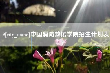 海门中国消防救援学院招生计划表